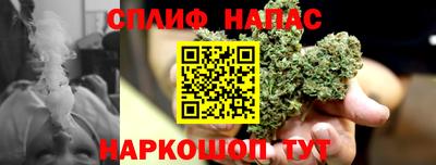 spice Балахна