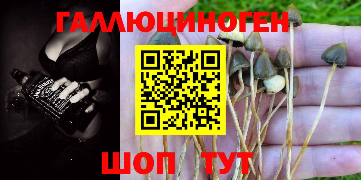 Гуково  Галлюциногенные грибы Magic Shrooms  Вход с VPN  Галлюциногенные грибы Magic Shrooms 